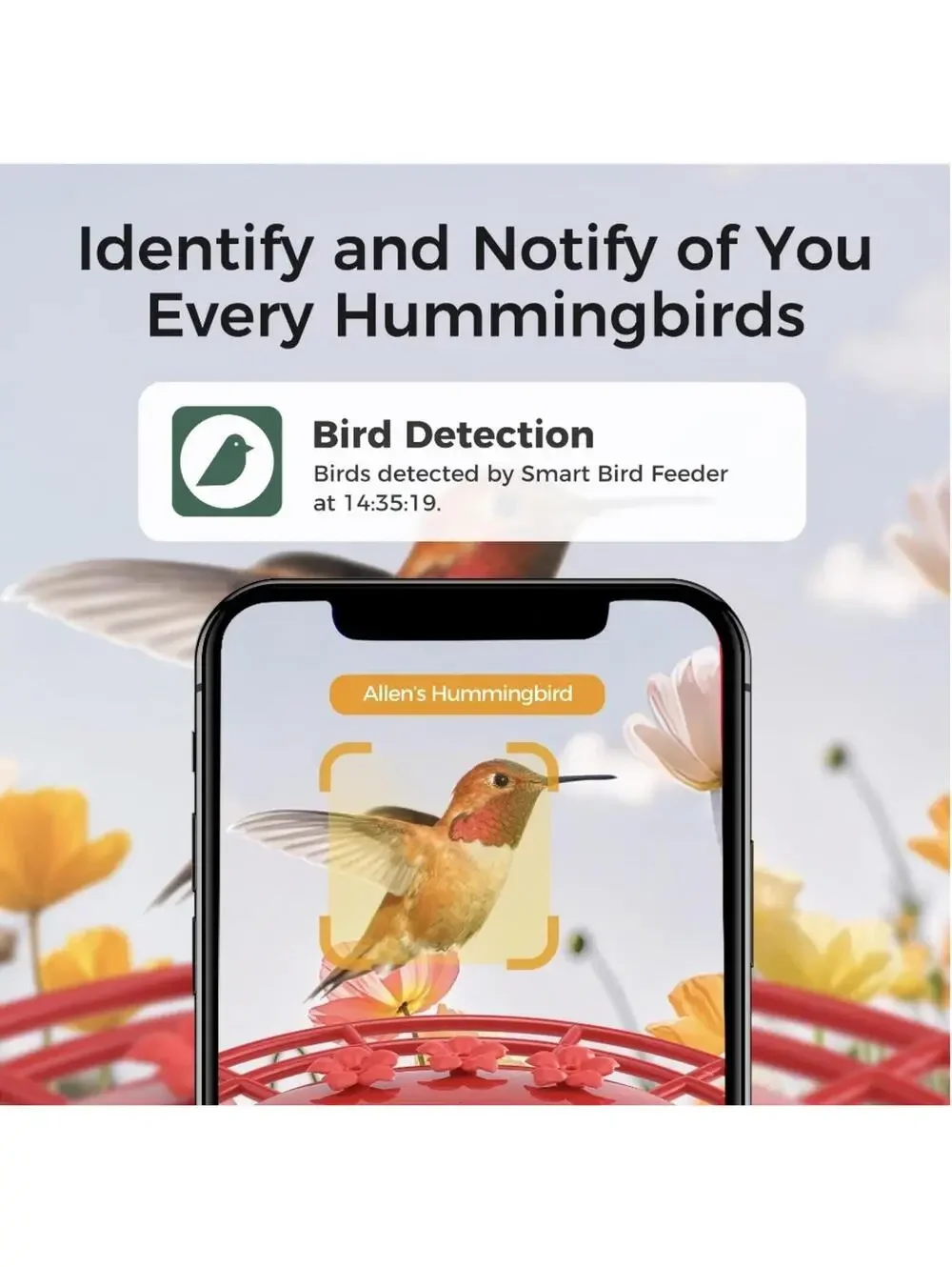 TT Nature Smart Hummingbird Feeder with Camera, Solar Powered, AI Bird ID